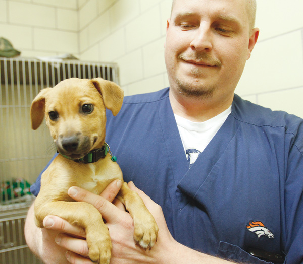Rick Tunison, a vet tech at the Mahoning County Dog Warden’s office, holds Sunny, one of the dogs at the pound. Friends of Fido, a nonprofit organization that works with dogs at the pound, is conducting a fundraiser, “For The Love of Dogs, Valentines to the Pound,” and is asking people to send in valentines with at least a
$1 donation inside to dogs at the pound. The event runs through Feb. 14.