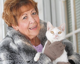 Roni Caruso, who runs Small World Animal Shelter in Girard, holds one of the 27 cats who hang out at her home in Niles.