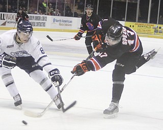 Phantoms forward Tyler Spezia (17) takes a shot on goal while being defended by Indiana’s Josh Jacobs (8) during Sunday’s game at the Covelli Centre. The Ice won, 2-0.