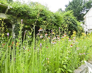 Above is a flowerbed found at the Governor’s Residence and Heritage Gardens.