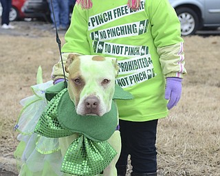 Katie Rickman | The Vindicator.Alli Hromiak, 4 of Boardman stands next to Britta, the family dog, while waiting for the St. Patrick's day parade to begin in Boardman.