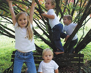 Laurie Fox was trying to get a nice photo of her four grandchildren sitting on a bench but was unsuccessful once they found that climbing the tree was more fun. Ashlynn Mason, 5, is hanging from the branch, 1-year-old Jack Gaither is sitting on the bench, and 2-year-olds Ben Gaither and Cameron Mason are climbing in the background.