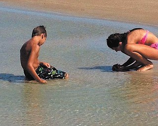 Zoe and Nick Cavoulas of Canfield are looking for treasures in the water at a beach. Sent by Paula Cavoulas.