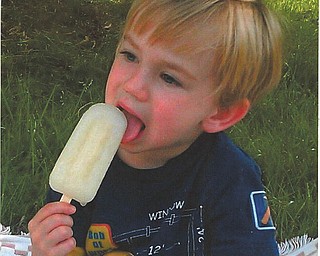 Connor Blanco, 3, of Mayfield Heights, Ohio, is keeping cool with his ice pop under a shade tree. Sent by his grandmother, Rochelle Blanco of Boardman.