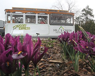 The Cohasset Express offers Mill Creek MetroParks visitors the opportunity to explore the park’s nooks and crannies. The trolley was obtained by the park district in September, but revealed only this year.