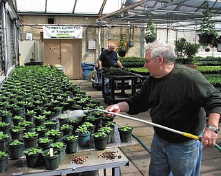SPECIAL TO THE VINDICATOR
The Men’s Garden Club of Youngstown is preparing for its annual plant sale to take place from 9 a.m. to 6 p.m. May 8, 9 and 10 at the MASCO Greenhouse on the corner of South Avenue and Bev Road in Poland. Dennis Zap, president of MGCY, gets ready for the sale. It will include annuals, vegetables, herbs and hanging baskets. Proceeds will be used for scholarships and community projects.
