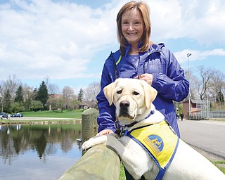 Vicki Simons of Bristolville and Otto, 1, participate in the Strut Your Mutt Dog Walk in Packard Park in Warren.
Simons is from Canine Companions for Independence, and Otto is her fifth dog raised.