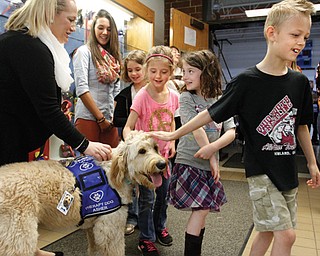 Asher, a 1-year-old goldendoodle, is ready to go to work as a therapy dog at Jackson-Milton Elementary School. The dog, owned by guidance counselor Christine Ginnis, will join the school staff next year but was introduced Tuesday morning to the enthusiastic student body who lined up to greet and pet him. The dog will be at the school three days per week, allowing students — and staff — to de-stress and decompress when needed. He’ll have his own bed in Ginnis’ office at the school.