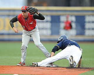 Youngstown State infielder Phil Lipari, left, shows the ball to the umpire after tagging out Kent State’s Cody Koch
on a steal attempt during their April 30 game at Schoonover Stadium. The Penguins won 5-4. Both teams 
qualified for the NCAA regionals, which begin this weekend. 