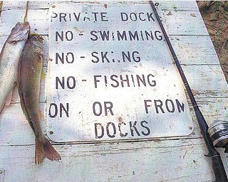 Annette also took this picture on the dock at Berlin Lake on another day.