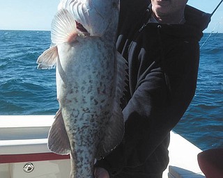 Scott Duko of Canfield caught this gag grouper 40 miles off Fort Myers, Fla. Sent by Mark Carrocce.