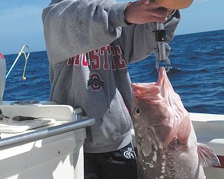 Drew Carrocce, 10, of Canfield, caught his red grouper 40 miles off Fort Myers. Sent by Mark Carrocce.