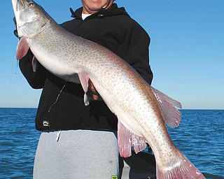 Robert Basic of Austintown, caught and released this 51-inch muskie while fishing with his son Jason on Lake St. Clair last summer.
