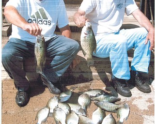 Dick Ballabon: Dick Ballabon and Tony Naples, both of Youngstown, caught these fish at Mosquito Lake on May 19.