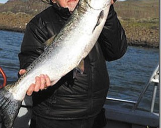 Roy Reese of Canfield caught this King salmon in the Colombian River on April 19. The picture was submitted by his wife Darlene.