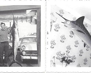 This is a tribute to my brother, Lewis Brine from Girard, who passed away April 9, 2012. He loved fishing and made his greatest catch back in the 50s when he caught a blue marlin at Ocean City, Maryland.