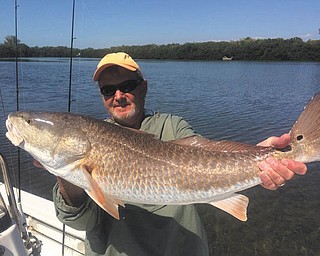 Gary Grimm caught a red fish in Tampa in February.