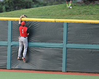 BLOOMINGTON, INDIANA - MAY 30, 2014: Outfielder Kevin Hix #1 of Youngstown State attempts to climb the wall to catch a would be three run home run for Indiana during Friday nights regional tournament game against Indiana University. (Photo by David Dermer/Youngstown Vindicator)