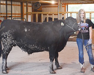 Abby Hemphill, 17, of Berlin Center is preparing for the 168th Canfield Fair. Her sister Emily, 11, also will participate.