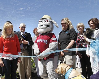 ROBERT K. YOSAY | THE VINDICATOR.. .Caryn Covelli ( board) Dr Jeff Williams -President- Scrappy - Kerry S. Pettit- Ex Director- Ali Patterson - and Nancy Jastatt-Juergens - both board members ( ricoh the cat) ..Animal Welfare League of Trumbull county ribbon cutting on Belmont Ave across from Squaw Creek in Vienna.