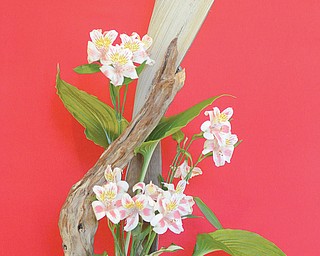 Best of show in the design category of the summer flower show sponsored by the Garden Forum of Greater Youngstown is this creation by Millie Campean of Gleaners Flower Club. It features alstromeria flowers, hosta, driftwood and palm spathe. The event was Sunday.