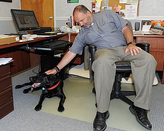 WARREN, OHIO - JUNE 12, 2014: Reverend J. Jeffrey Baker of Christ Episcopal Church pets his dog Sammie the Lab in his office Thursday morning at Christ Episcopal Church Thursday morning. (Photo by David Dermer/ Youngstown Vindicator)