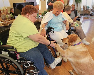 Maggie, a dog adopted by Victoria House assisted-living facility in Austintown, gets some love from residents Barb Melanson, left, and Louise Kotouc.