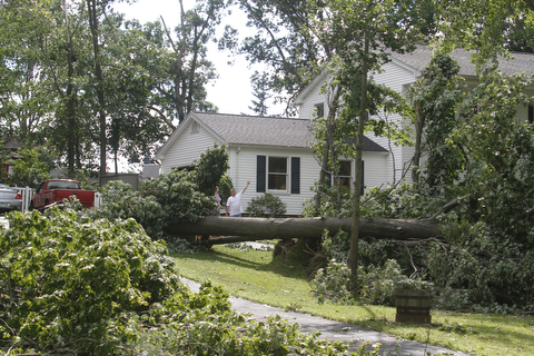        ROBERT K. YOSAY  | THE VINDICATOR...Houses on Blueberry Hill  in Canfield as a late afternoon storm downed trees .  -30-