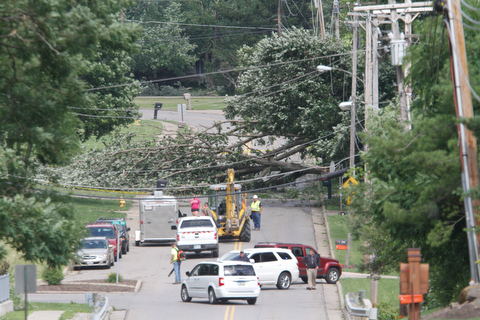        ROBERT K. YOSAY  | THE VINDICATOR...Electric was cut and Herbert Rd was closed in the city of Canfield near Blueberry hill as a huge maple fell across the road....  -30-