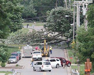        ROBERT K. YOSAY  | THE VINDICATOR...Electric was cut and Herbert Rd was closed in the city of Canfield near Blueberry hill as a huge maple fell across the road....  -30-
