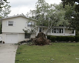        ROBERT K. YOSAY  | THE VINDICATOR...a House had a tree land on its roof at the 6100 block of Herbert Rd as a late afternoon storm knocked out electric...  -30-