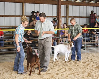 Carly Ulrich of Bristolville, top, and her son, Colton, 2, keep dry while walking on the midway this week at the Trumbull County Fair. Above, Courtney Hubbard, left, won first place in the Junior Fair intermediate showmanship Boer goat competition Wednesday. At right is Tate Smith of Burghill, who finished second. Steve Taylor, center, judged the competition. Below, Jamie Lewis, 3, and her sister Marlie, 1, of Mecca Township, enjoy a treat during the goat showmanship event. Jamie is the fifth generation in her family to participate in 4-H animal events. Her great-grandmother showed horses when the fairgrounds were in Warren, and her great-great grandfather was a 4-H adviser.
