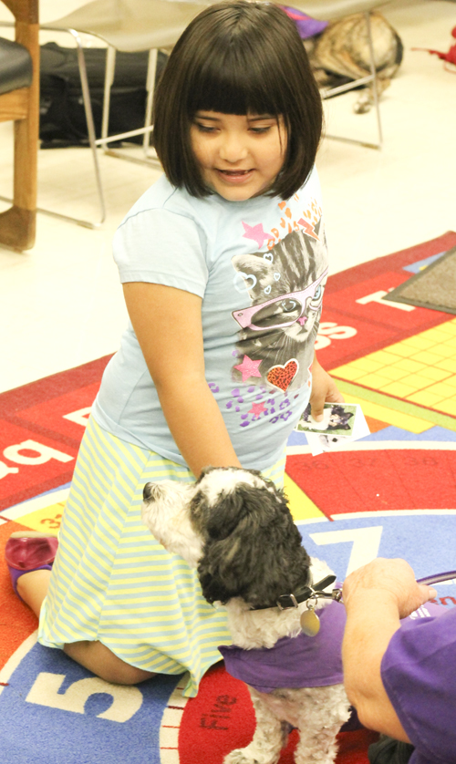 Roxanna Flores-Kaufman (6) of Youngstown pets "Max", a Shih-tuz/coton de Tuclear, at the Brownlee Woods branch of the Public Library of Youngstown on Saturday afternoon.   Dustin Livesay  |   The Vindicator 7/19/14  Youngstown.