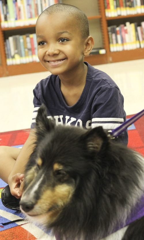 Dontay Miller (7) of Youngstown pets "Shadow" the Sheltie at the Brownlee Woods branch of the Public Library of Youngstown on Saturday afternoon.   Dustin Livesay  |   The Vindicator 7/19/14  Youngstown.