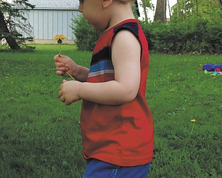 Logan Cheney of Hubbard was picking flowers on a warm summer day. Sent by his mom, Amanda Liston.