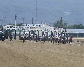 Katie Rickman | The Vindicator.Horses leave the gate at the West Virginia Derby August 2, 2014.