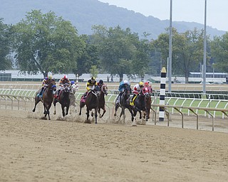 Katie Rickman | The Vindicator.Horses race down the track at the start of the West Virginia Derby August 2, 2014.