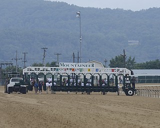 Katie Rickman | The Vindicator.Horses are led the starting gate at the West Virginia Derby August 2, 2014.