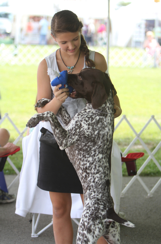 Danielle Kunst (13) of Ford City, Pa celebrates with her 15 month old German Short Haired Pointer named "Ace" during the AKC All-Breed Dog show at the Canfield Fairgrounds on Saturday morning.  Dustin Livesay  |  The Vindicator  8/2/14  Canfield Fairgrounds.