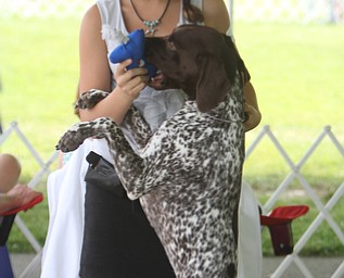 Danielle Kunst (13) of Ford City, Pa celebrates with her 15 month old German Short Haired Pointer named "Ace" during the AKC All-Breed Dog show at the Canfield Fairgrounds on Saturday morning.  Dustin Livesay  |  The Vindicator  8/2/14  Canfield Fairgrounds.