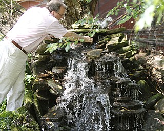 ROBERT K. YOSAY | THE VINDICATOR.. Pastor Dave adjusts the rocks on his waterfall at the Our Lady of the Lakes Parish-- has an oasis for solitude or just reflection or just enjoying the flowers as the Rev. David W. Merweiler is pastor and gardener..... -30-