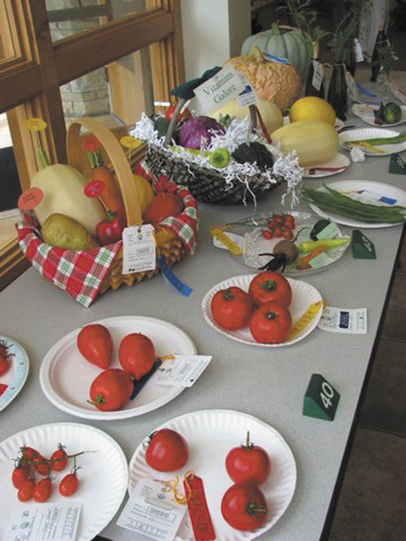 SPECIAL TO THE VINDICATOR
The 50th Men’s Garden Club of Youngstown Horticultural Show will feature displays like this. The show will take place Aug. 23 and 24 at Fellows Riverside Gardens.
