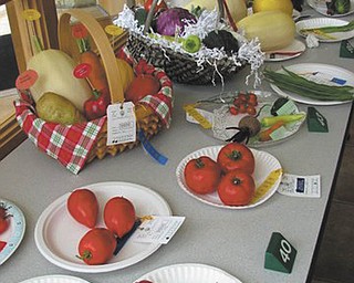 SPECIAL TO THE VINDICATOR
The 50th Men’s Garden Club of Youngstown Horticultural Show will feature displays like this. The show will take place Aug. 23 and 24 at Fellows Riverside Gardens.