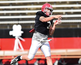 Less than two years after experimenting at safety, Youngstown State junior Dante Nania earned the starting nod
at quarterback for the Penguins’ opener on Aug. 30 at Illinois.