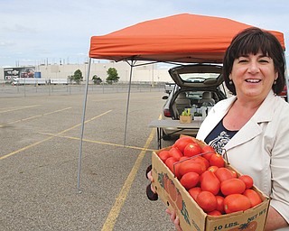 Melissa Miller, president of the Lake-to-River Food Cooperative, shows some of the locally grown produce
picked for General Motors Lordstown employees.