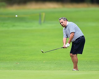 BOARDMAN, OHIO - AUGUST 22, 2014: Ron Mcgowen of Boardman follows through on a chip shot onto the green on the 9th hole on the south course Friday morning at Mill Creek Golf Course during the Vindy Greatest Golfer Tournament. (Photo by David Dermer/Youngstown Vindicator)