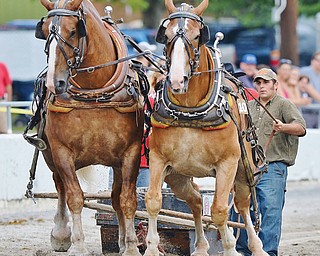 Bobby Howard of Acme, Pa., drives his horses down the track as they drag a sled filled with 6,500 pounds during Monday morning’s Draft Horse Pig Iron Derby.