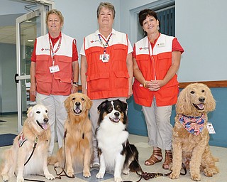 Members of the American Red Cross K9 Action Team with their dogs are, from left, Carole Magargee with Skylee and Toree, golden retrievers; Joan Heverly with Reno, an Australian shepherd; and Kathy Miller, team founder, with Gus, a goldendoodle.