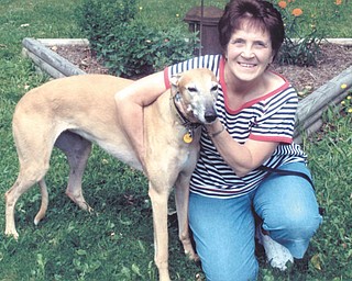 Britney is an 8-year-old retired, adopted, x-racing greyhound. Submitted by her mom, Darlene Bartholomew of Hermitage, Pa.