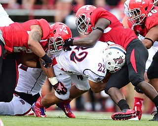 YOUNGSTOWN, OHIO - SEPTEMBER 6, 2014: Running back Ryan Ho #22 of Duquesne is tackled by defenders Tre' Moore #2 and Deion Hall #19 during the 4th quarter of Saturday afternoon game at Stambaugh Stadium. YSU won 34-23. (Photo by David Dermer/Youngstown Vindicator)